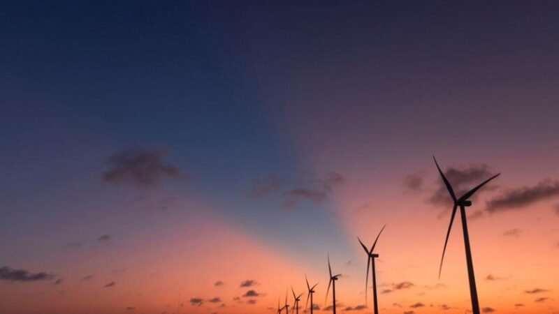 São Paulo com reajuste de 15% na Conta de Luz: Energia Renovável via Mercado Livre é alternativa para empresas economizarem