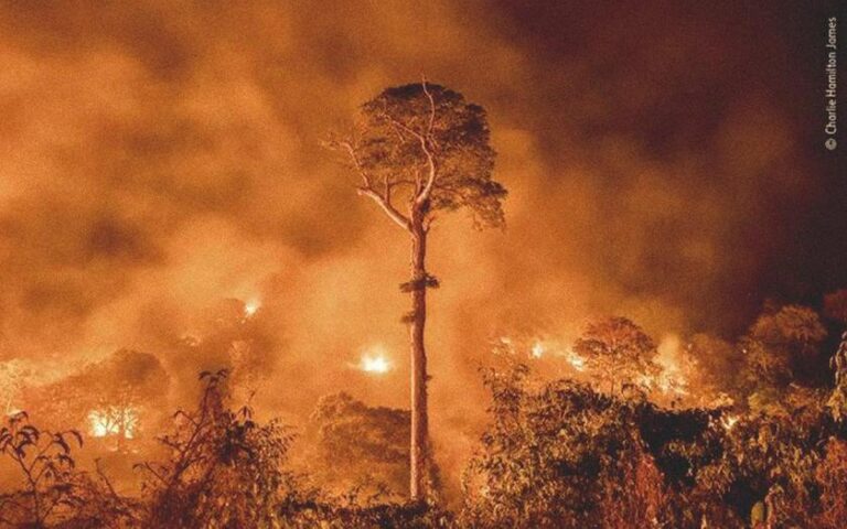 Um Alerta Urgente para a Economia e Sustentabilidade Brasileira