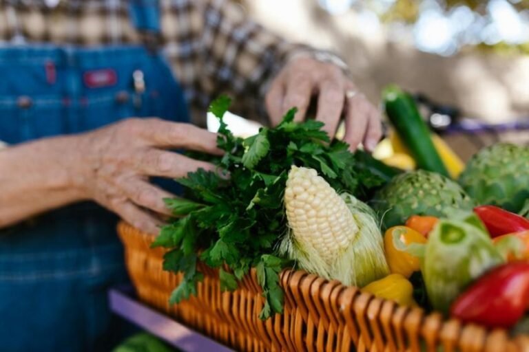 AgroAmigo já soma mais de 12,8 mil contratos e movimenta R$ 150 milhões