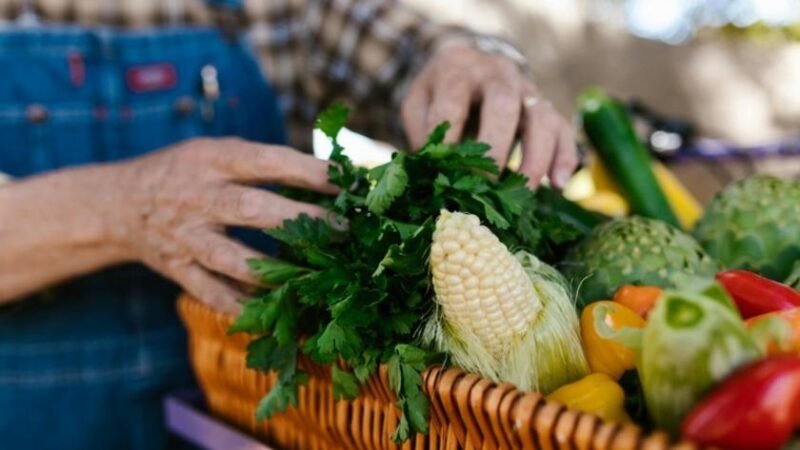 AgroAmigo já soma mais de 12,8 mil contratos e movimenta R$ 150 milhões