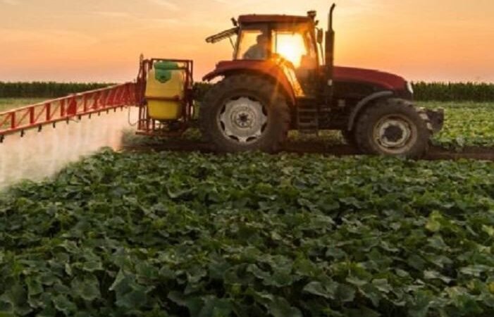 Agroindústria fecha junho com queda de 5,3% Agroindústria fecha junho com queda de 5,3%