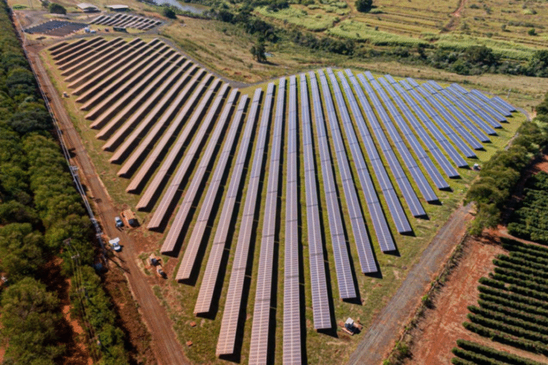 BYD divulga Relatório de Sustentabilidade 2024 e destaca avanços rumo à transição energética