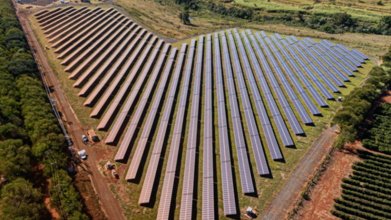 BYD divulga Relatório de Sustentabilidade 2024 e destaca avanços rumo à transição energética