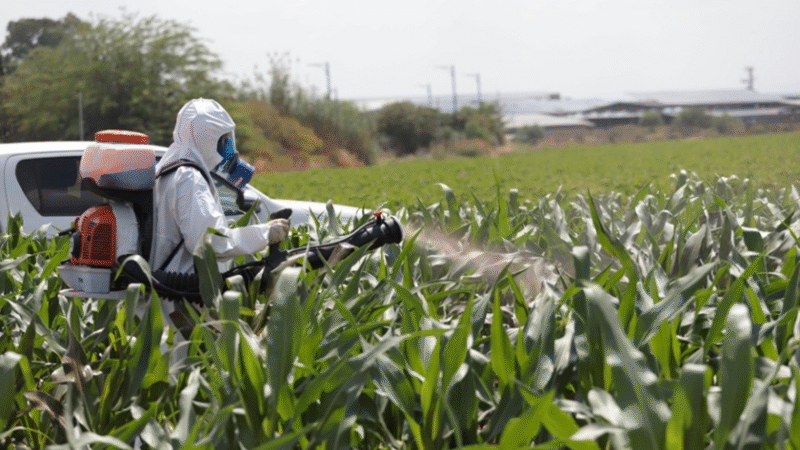 Curso de pulverizador costal é novo treinamento disponível no Aplicador Legal Curso de pulverizador costal é novo treinamento disponível no Aplicador Legal