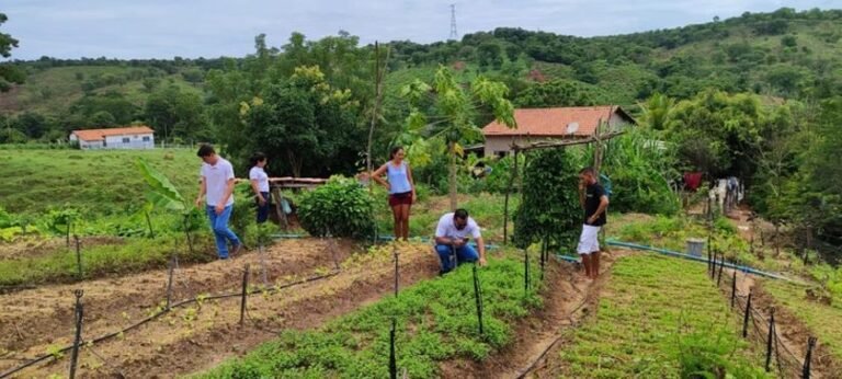 Echoenergia investe mais de R$ 3,5 milhões em projetos sociais na Bahia