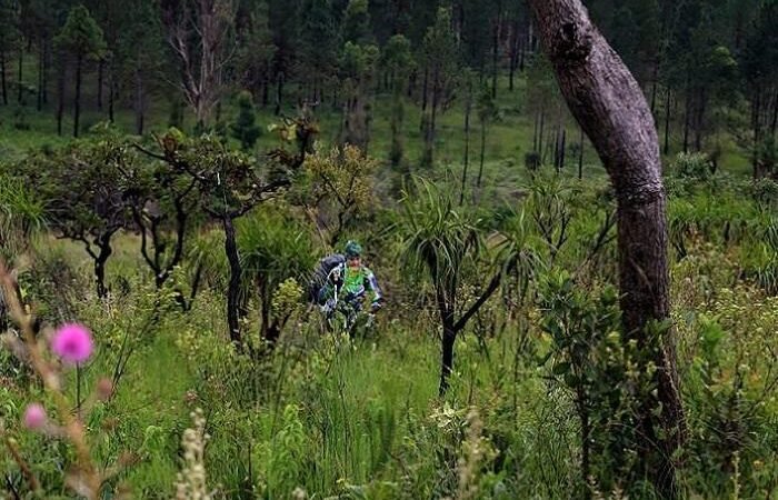 Exposição na Câmara destaca a diversidade artística de 18 talentosos criadores