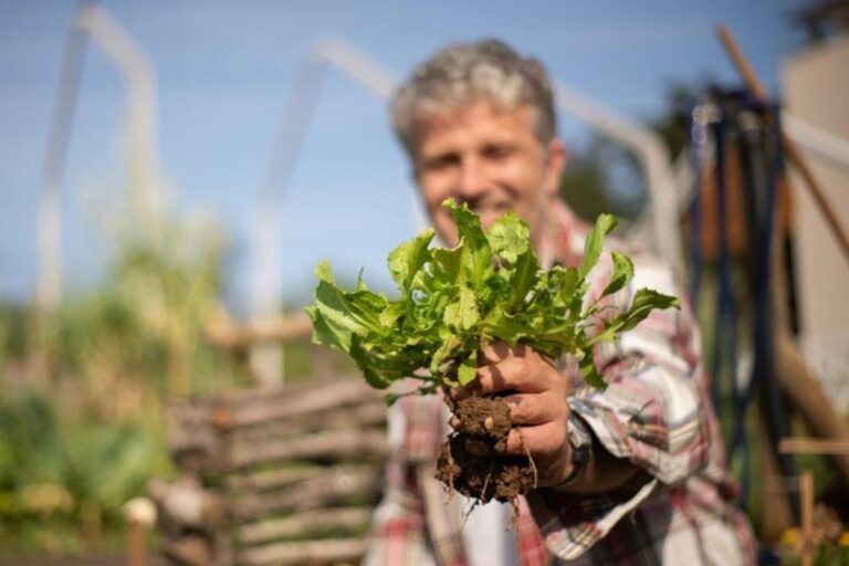 Governo dispõe R$ 1 bi e lança AgroAmigo no Norte e Centro-Oeste