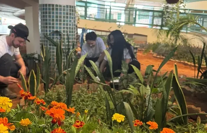 Operadora em família mãos que transformam Operadora em família mãos que transformam