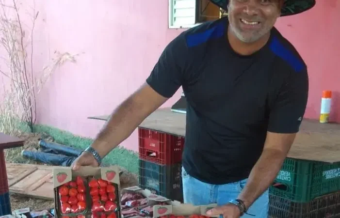 Planaltina Goiana em Doce Celebração do Morango Planaltina Goiana em Doce Celebração do Morango