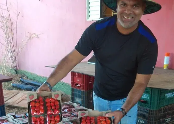 Planaltina Goiana em Doce Celebração do Morango