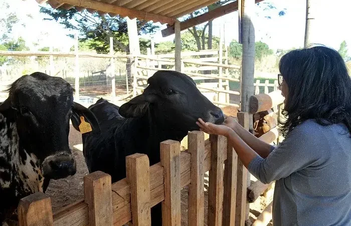 Produtores rurais têm acesso a apoio e financiamento
