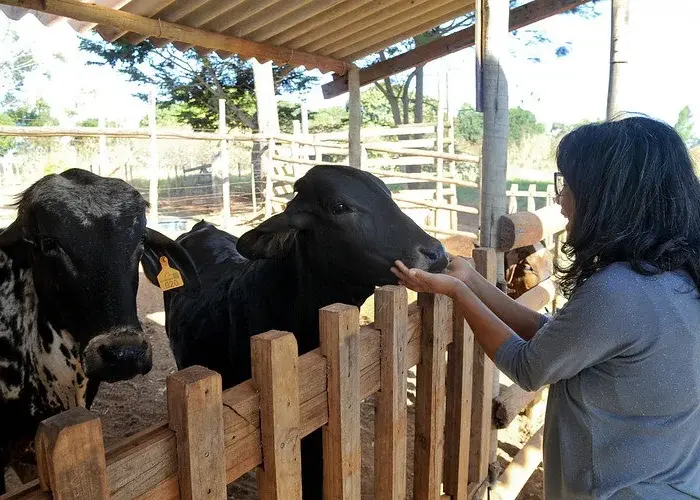Produtores rurais têm acesso a apoio e financiamento
