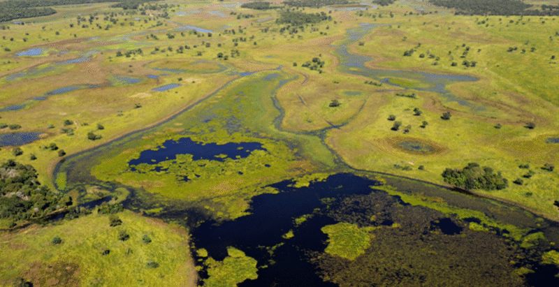 WWF-Brasil alerta: Pequenas Centrais Hidrelétricas no Pantanal podem gerar prejuízo de R$ 7 bilhões WWF-Brasil alerta: Pequenas Centrais Hidrelétricas no Pantanal podem gerar prejuízo de R$ 7 bilhões
