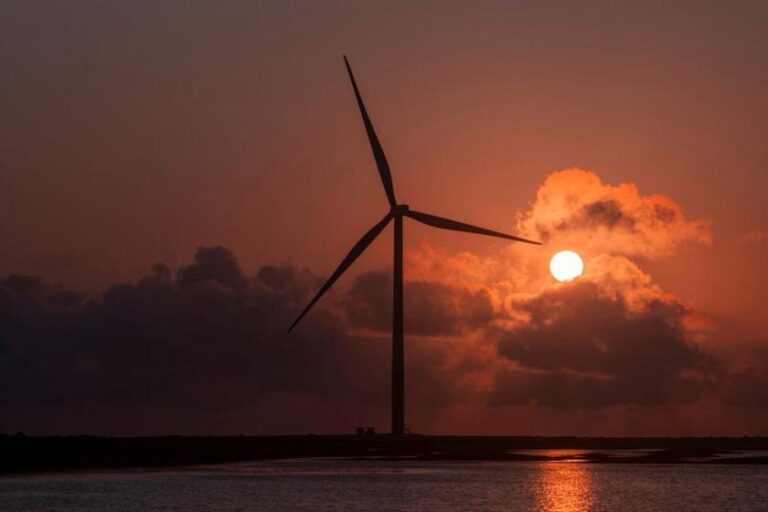Energy Revolution será carbono neutro em parceria com a Serena
