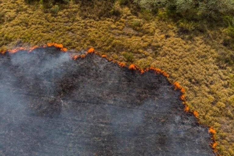 Redução no ritmo das queimadas não alivia o impacto ao sistema elétrico nacional