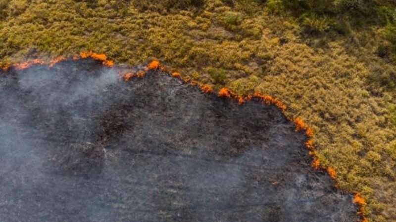 Redução no ritmo das queimadas não alivia o impacto ao sistema elétrico nacional