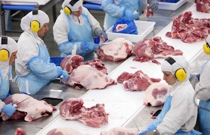 Azerbaijao abre mercado para aves e suinos do Brasil Azerbaijao abre mercado para aves e suinos do Brasil