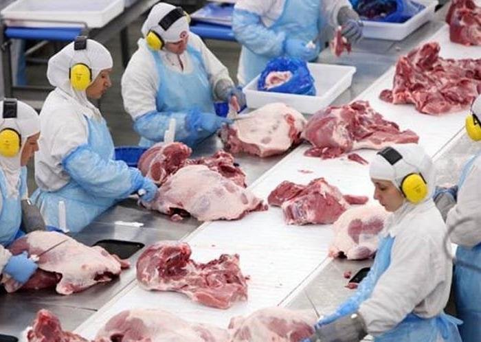 Azerbaijao abre mercado para aves e suinos do Brasil