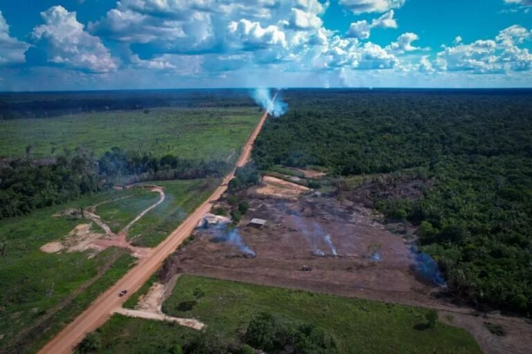 BR-319 é bomba-relógio que põe em xeque metas climáticas do Brasil