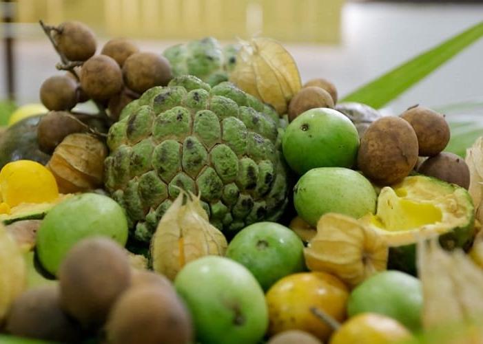 Cerrado Viva a Biodiversidade