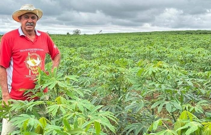 DF acelera: Produção de grãos cresce 18,1% DF acelera: Produção de grãos cresce 18,1%