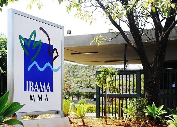Ibama reforça equipe com 460 novos servidores