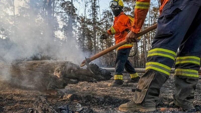 Labaredas engolem 220 hectares do pulmão verde nacional