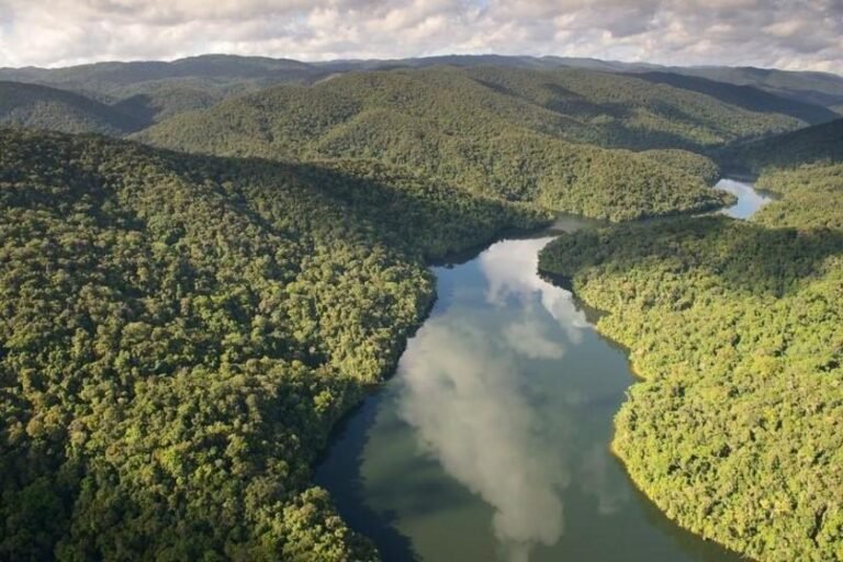 Motiva compra 27 mil créditos de carbono da Reservas Votorantim para fortalecer a conservação da Mata Atlântica