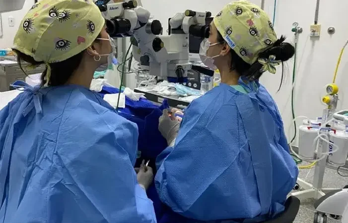 Nove Mil Pessoas Esperam por Consultas e Cirurgias