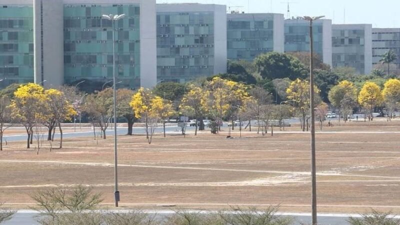 O 7 de Setembro toma a Esplanada para ensaio geral