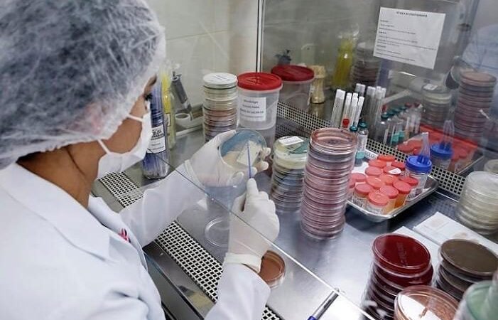 Oportunidades de Carreira para Técnicos no Instituto de Saúde Oportunidades de Carreira para Técnicos no Instituto de Saúde