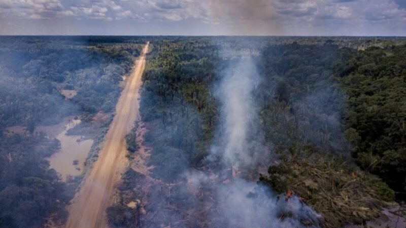PL da Devastação: Bancada ruralista usa MP de Lula para resgatar