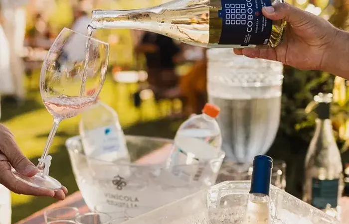 Vinicola Brasileira Recebe Premio Inedito Vinicola Brasileira Recebe Premio Inedito