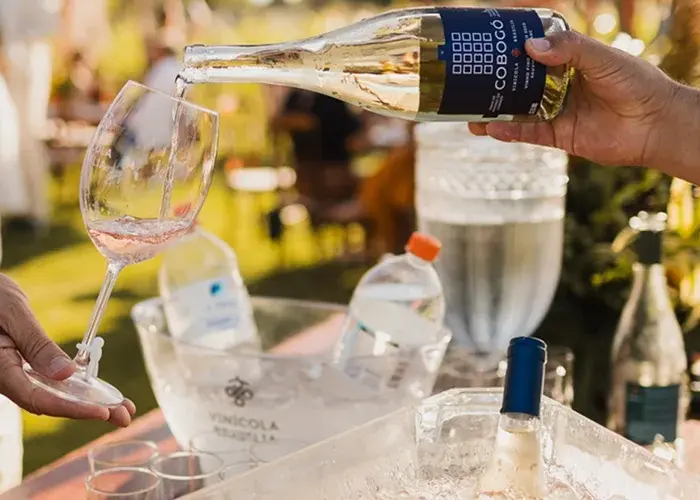 Vinicola Recebe Premio Inedito Entre os Vinhos Brasileiros