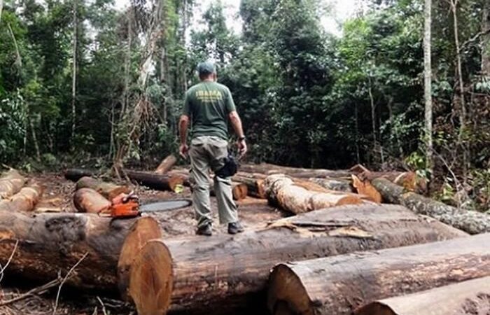 Conferência do Clima COP 30: Expectativas de Ambição e Financiamento Não Alcançadas