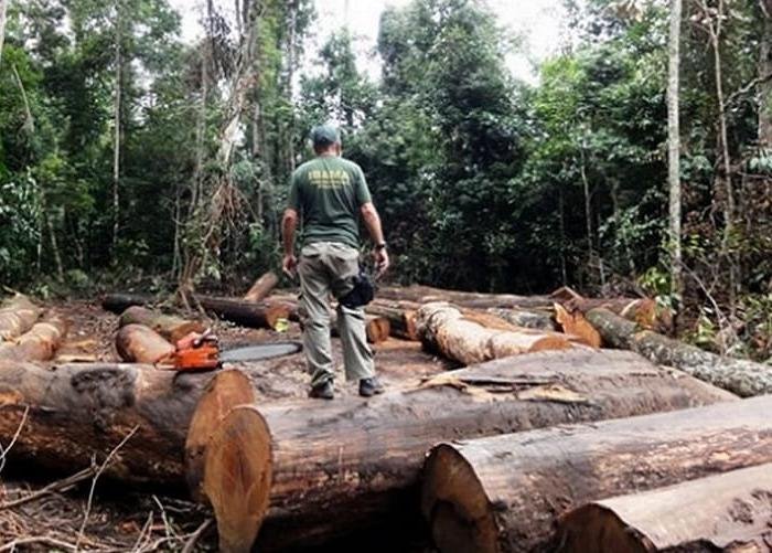 Conferência do Clima COP 30: Expectativas de Ambição e Financiamento Não Alcançadas Conferência do Clima COP 30: Expectativas de Ambição e Financiamento Não Alcançadas