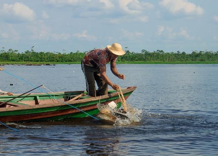 Hubs de Inovacao na Amazonia