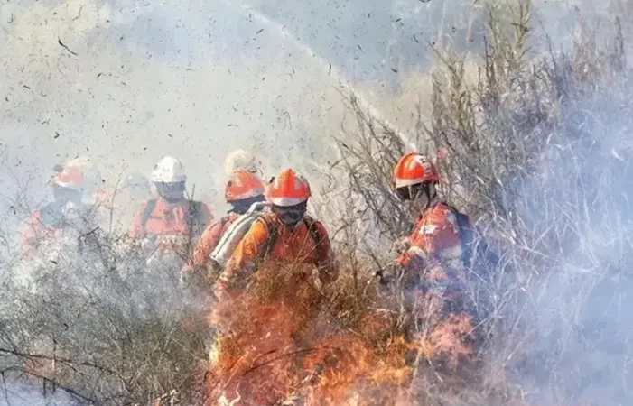 Incendios devastam mais de mil e quinhentos hectares na Chapada