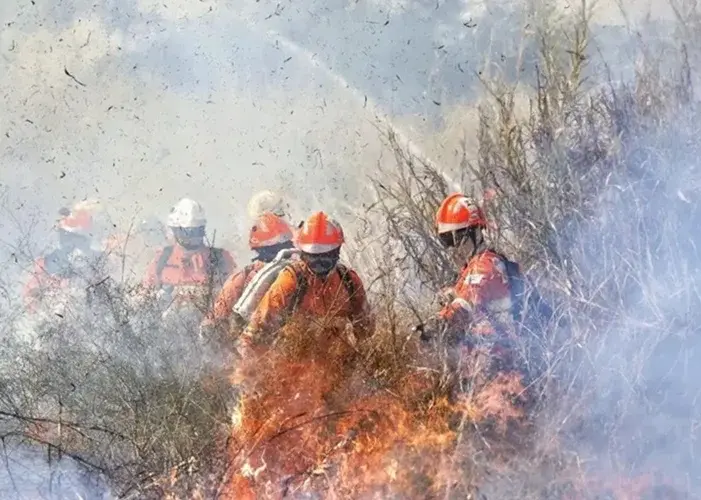 Incendios devastam mais de mil e quinhentos hectares na Chapada