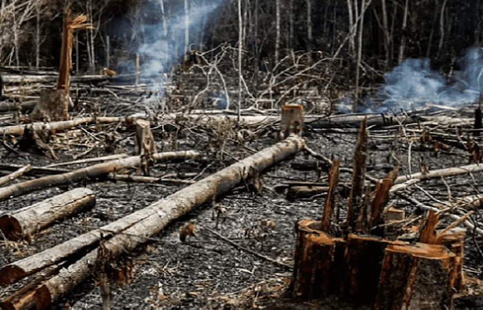 Medidas para Contenção do Desmatamento no Arco