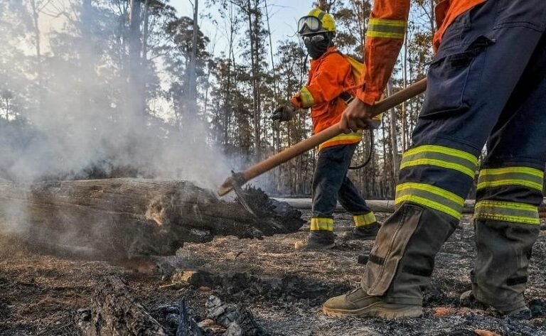 Treinamento Avançado para Combate Efetivo a Incêndios Florestais