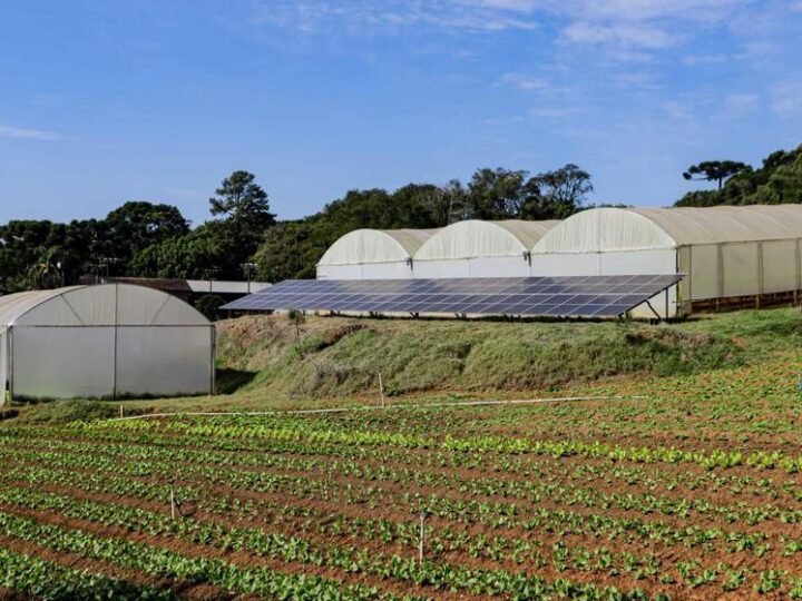 Paraná alcança 1 GW de energia solar rural Paraná alcança 1 GW de energia solar rural