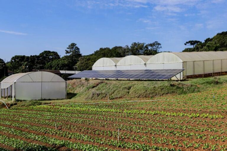 Paraná alcança 1 GW de energia solar rural