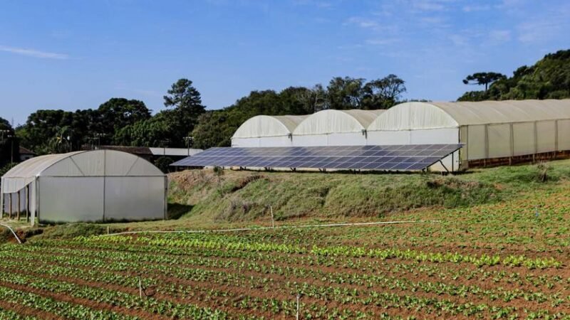 Paraná alcança 1 GW de energia solar rural Paraná alcança 1 GW de energia solar rural
