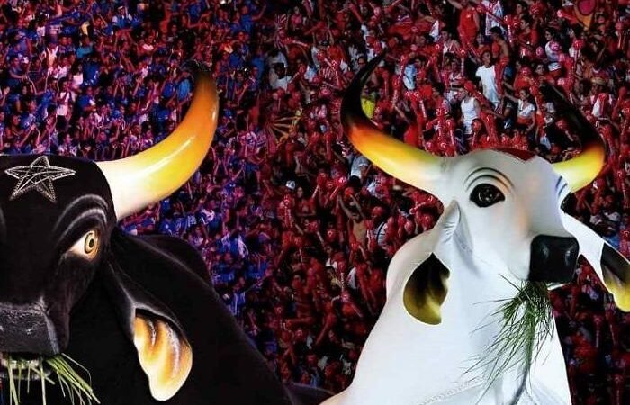 Banco Lança Novos Editais de Patrocinio para 2026