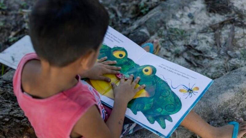 Biblioteca sustentável, em Castanhal (PA), une energia solar e valorização cultural da Amazônia Biblioteca sustentável, em Castanhal (PA), une energia solar e valorização cultural da Amazônia