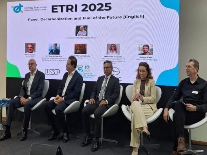 Brasil está pronto para exportar hidrogênio verde a partir de 2030, afirma Fernanda Delgado, da ABIHV Brasil está pronto para exportar hidrogênio verde a partir de 2030, afirma Fernanda Delgado, da ABIHV