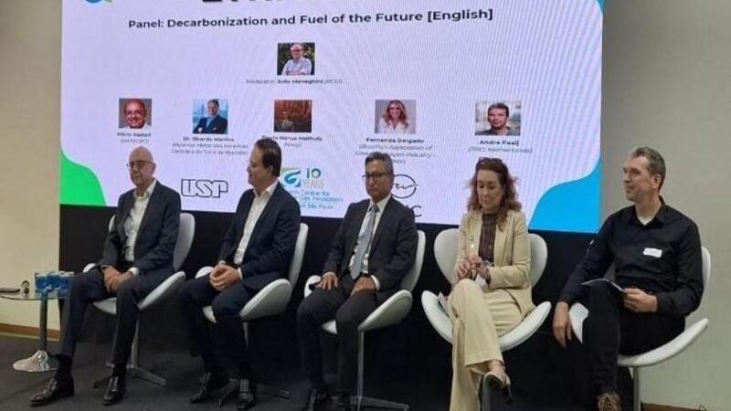 Brasil está pronto para exportar hidrogênio verde a partir de 2030, afirma Fernanda Delgado, da ABIHV