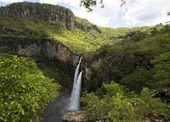 Cerrado merece mesma atenção que a Amazônia