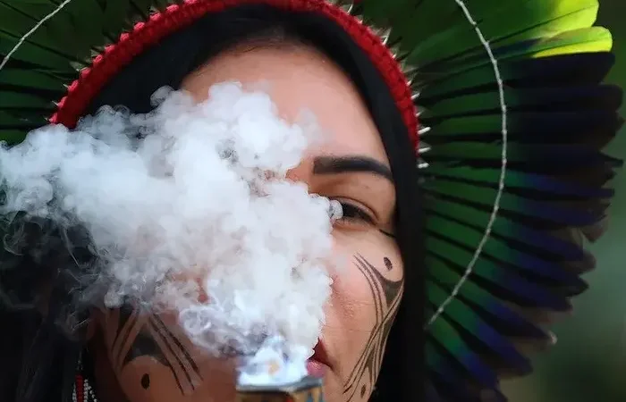 Consequências Ocultas da COP30 e o Impacto da Informação em Excesso